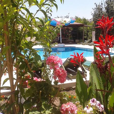 Paradise Garden Gumusluk Evleri Aparthotel Exteriör bild
