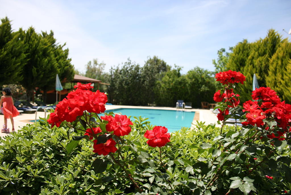 Paradise Garden Gumusluk Evleri Aparthotel Exteriör bild