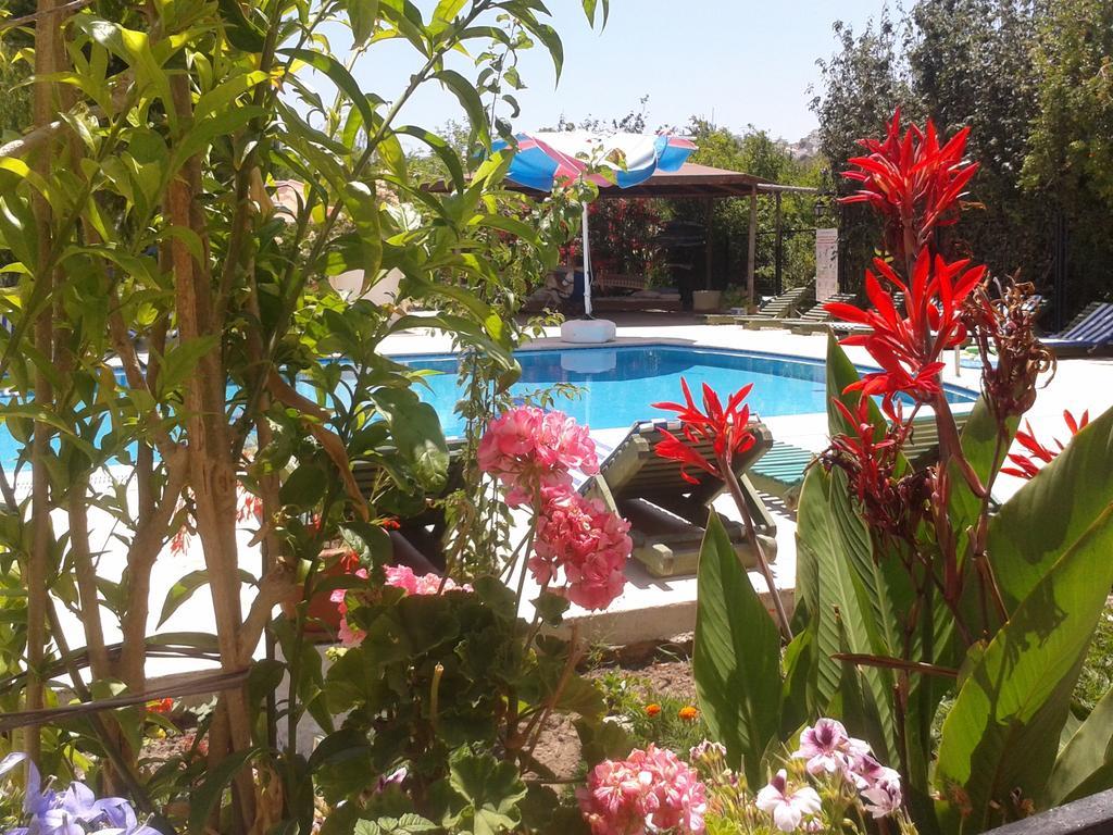 Paradise Garden Gumusluk Evleri Aparthotel Exteriör bild