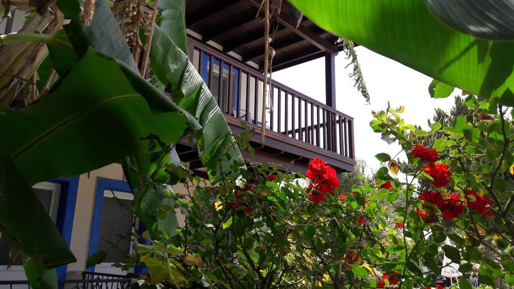 Paradise Garden Gumusluk Evleri Aparthotel Exteriör bild